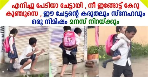 Brother Sister: Latest News, Photos, Videos on Brother Sister.